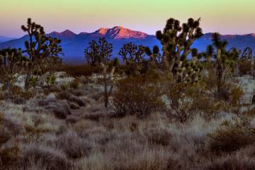 Spirit Mountain reflects the last glow of sunlight within the Avi Kwa Ame proposed national ...