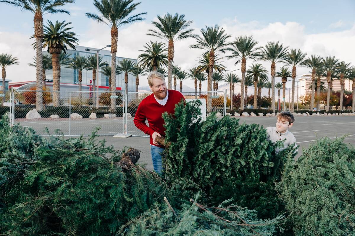 Summerlin Christmas tree recycling returns to Summerlin, Dec. 26-Jan. 15 with two drop-off spo ...