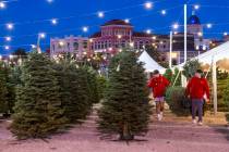 Another tree is carried to the prep area for a customer at Rudolph's Christmas Tress on Tuesday ...