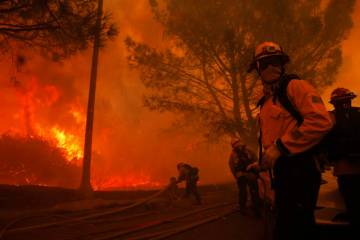 Firefighters battle the advancing Palisades Fire in the Pacific Palisades neighborhood of Los A ...