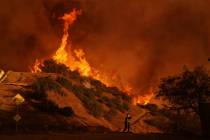 A firefighter battles the Palisades Fire in Mandeville Canyon Saturday, Jan. 11, 2025, in Los A ...