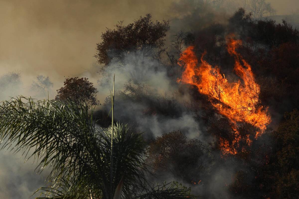 The Palisades Fire as it tears through Mandeville Canyon in Los Angeles' Brentwood neighborhood ...