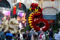 Guests take in the Year of the Snake celebrating Lunar New Year at Bellagio Conservatory & Bota ...