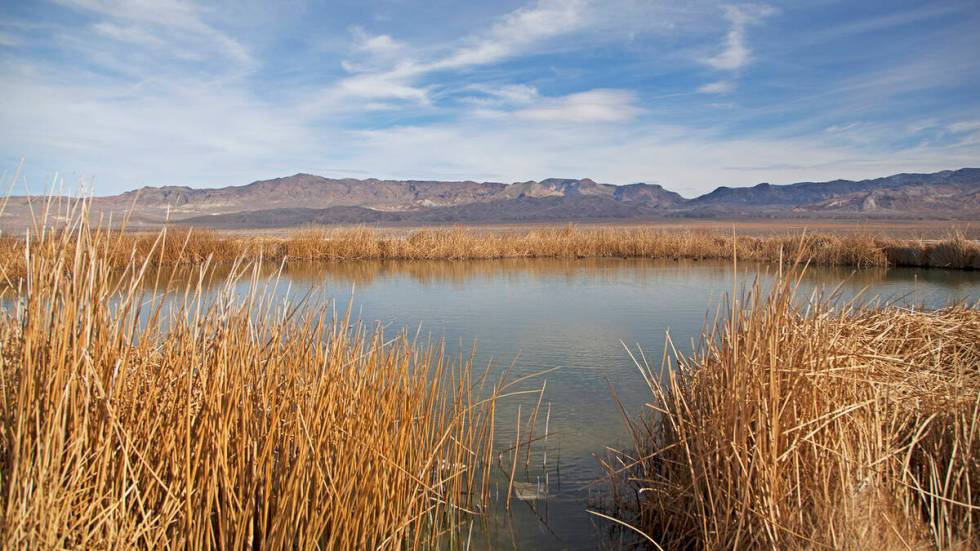 Fish Lake Hot Spring (Travel Nevada)