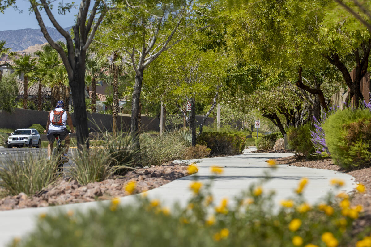 A cyclist moves up Desert Foothills Drive, near an urban canopy of trees and shrubs designed to ...