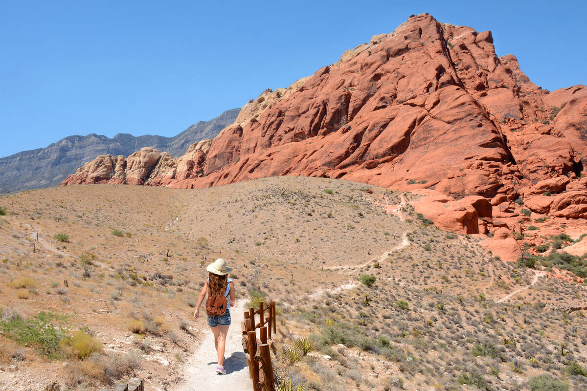 Spending time slowing down and practicing mindfulness in nature has a wealth of health benefits ...