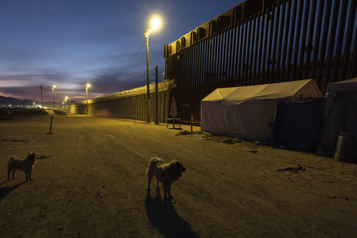 Dogs are near a border wall separating Mexico from the United States Wednesday, Jan. 22, 2025, ...