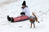 Alyce Pilgrim of Las Vegas races her dog Indiana “Indy” Bones while sledding in a light sno ...