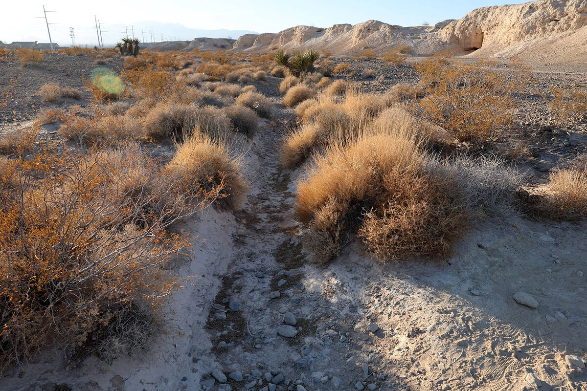 A dry wash is seen at Tule Springs Fossil Beds National Monument in Las Vegas Wednesday, Jan. 2 ...