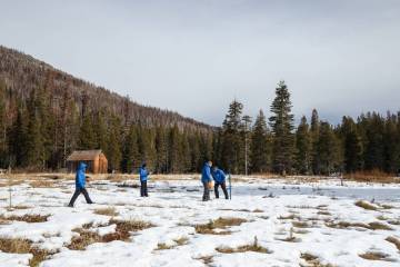 Officials from the California Department of Water Resources conduct a snow survey on Tuesday, J ...